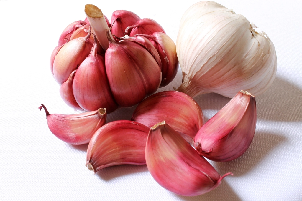 onion garlic